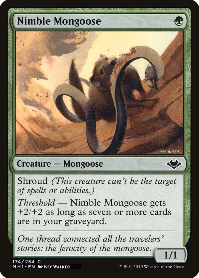 Nimble Mongoose [Modern Horizons] | PLUS EV GAMES 