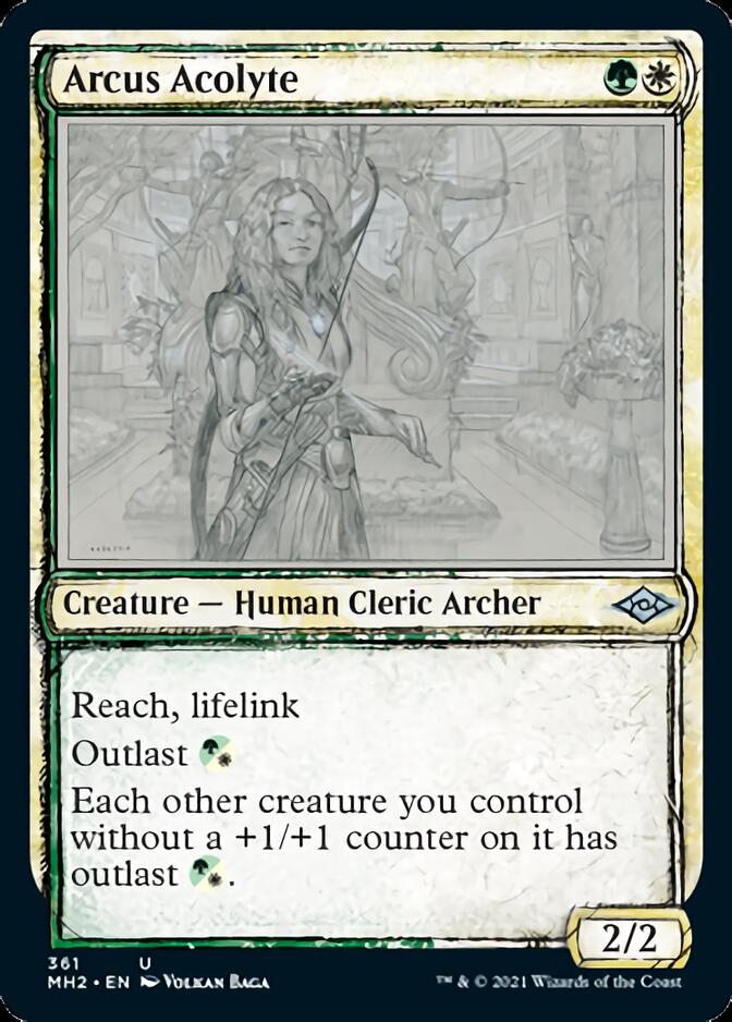 Arcus Acolyte (Sketch) [Modern Horizons 2] | PLUS EV GAMES 