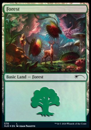 Forest (Predatory) (578) [Secret Lair Drop Promos] | PLUS EV GAMES 