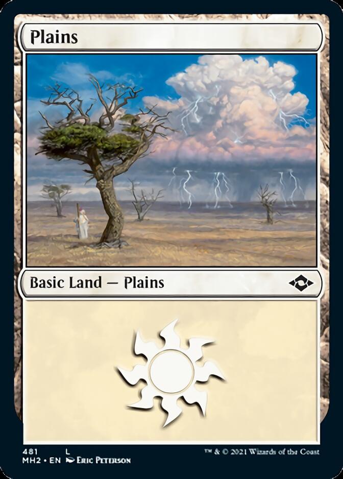 Plains (481) [Modern Horizons 2] | PLUS EV GAMES 