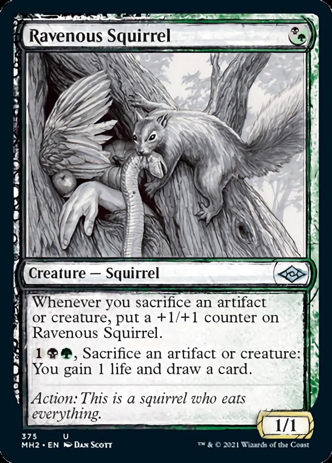 Ravenous Squirrel (Sketch) [Modern Horizons 2] | PLUS EV GAMES 