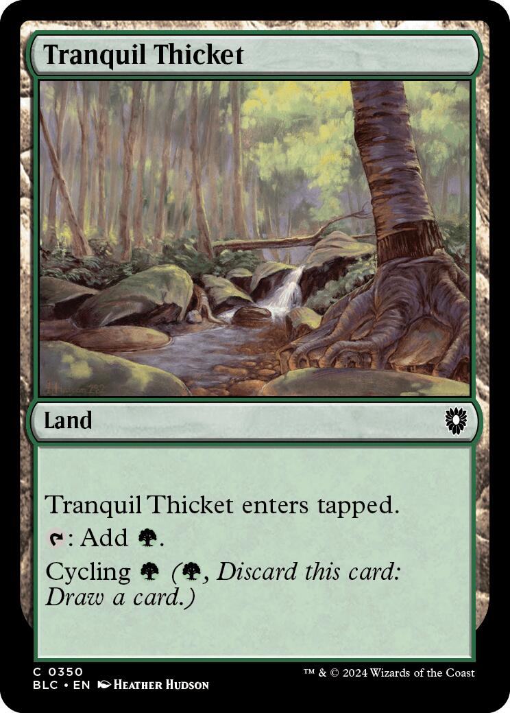 Tranquil Thicket [Bloomburrow Commander] | PLUS EV GAMES 