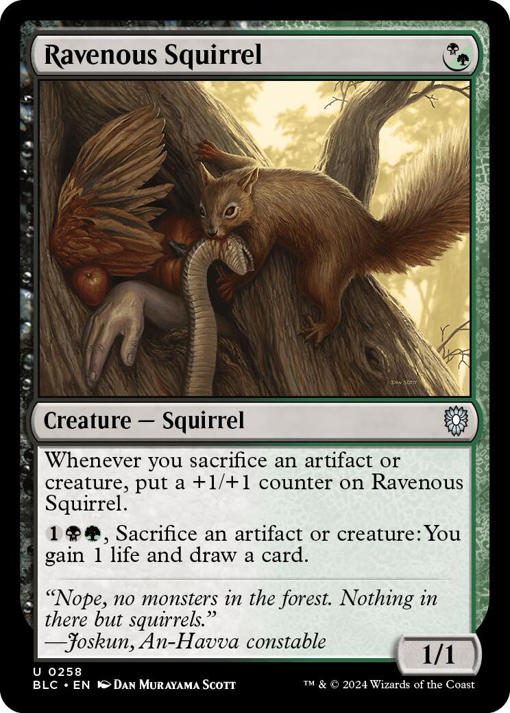 Ravenous Squirrel [Bloomburrow Commander] | PLUS EV GAMES 