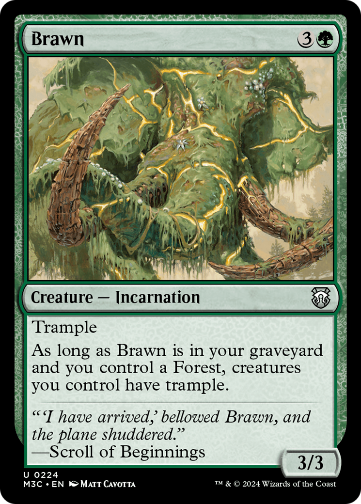 Brawn [Modern Horizons 3 Commander] | PLUS EV GAMES 