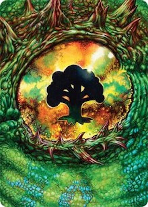 Forest Art Card (32/54) [Tarkir: Dragonstorm Art Series] | PLUS EV GAMES 