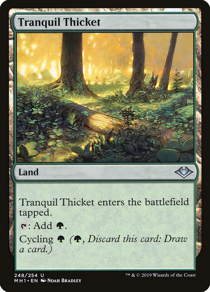 Tranquil Thicket [Modern Horizons] | PLUS EV GAMES 