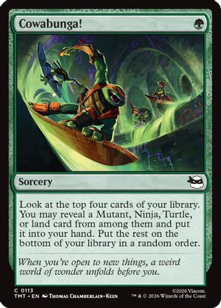 Cowabunga! [Teenage Mutant Ninja Turtles]