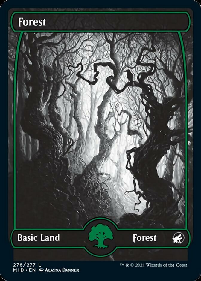 Forest (276) [Innistrad: Midnight Hunt] | PLUS EV GAMES 