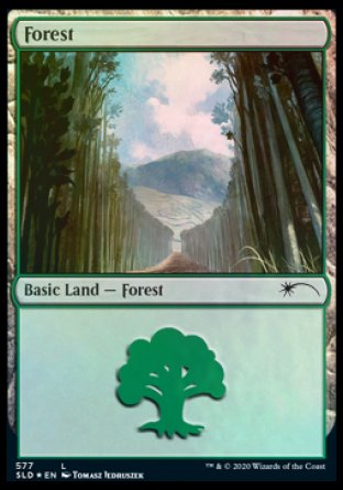 Forest (Walls) (577) [Secret Lair Drop Promos] | PLUS EV GAMES 