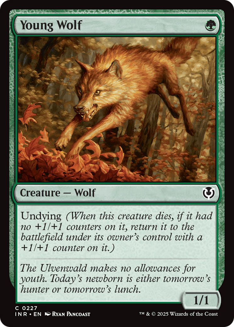 Young Wolf [Innistrad Remastered] | PLUS EV GAMES 