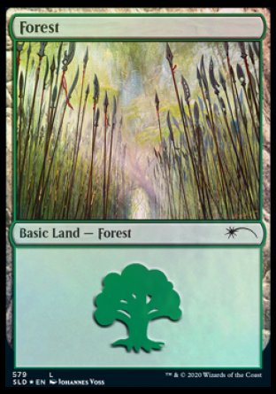 Forest (Elves) (579) [Secret Lair Drop Promos] | PLUS EV GAMES 