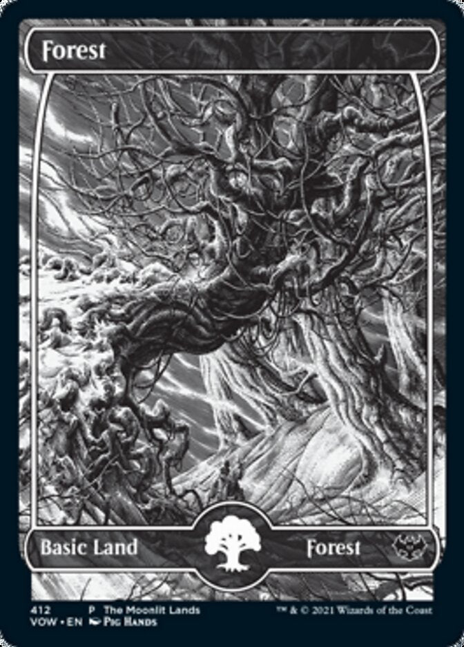 Forest (The Moonlit Lands) (Foil Etched) [Innistrad: Crimson Vow Promos] | PLUS EV GAMES 