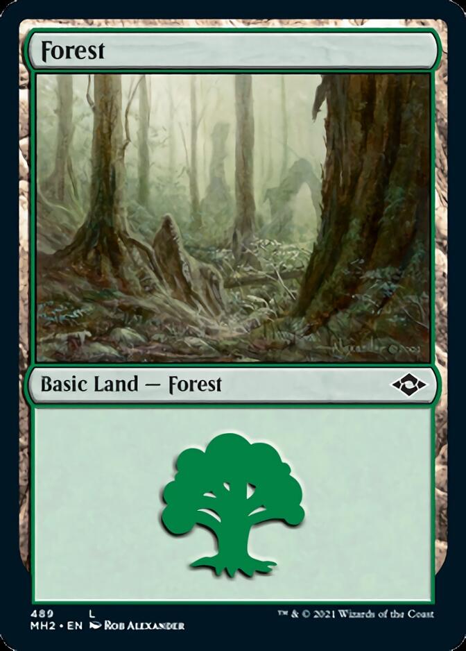 Forest (489) (Foil Etched) [Modern Horizons 2] | PLUS EV GAMES 