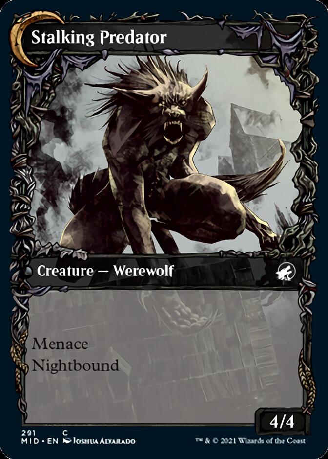 Shady Traveler // Stalking Predator (Showcase Equinox) [Innistrad: Midnight Hunt] | PLUS EV GAMES 