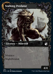 Shady Traveler // Stalking Predator (Showcase Equinox) [Innistrad: Midnight Hunt] | PLUS EV GAMES 