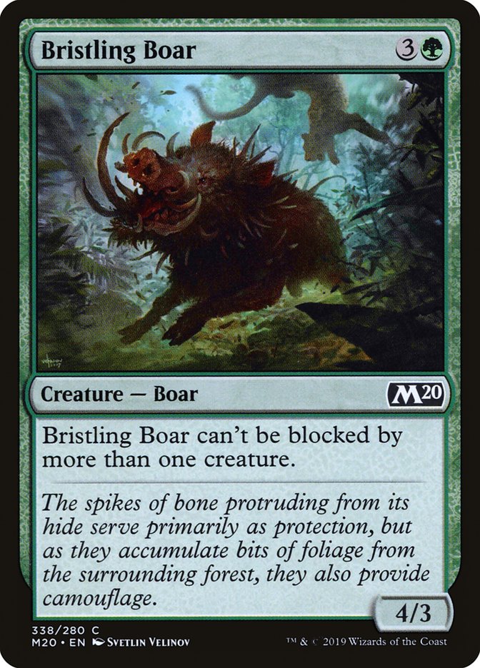 Bristling Boar [Core Set 2020] | PLUS EV GAMES 