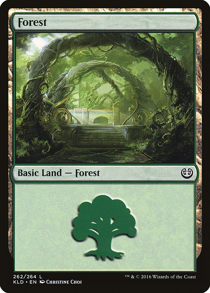 Forest (262) [Kaladesh] | PLUS EV GAMES 