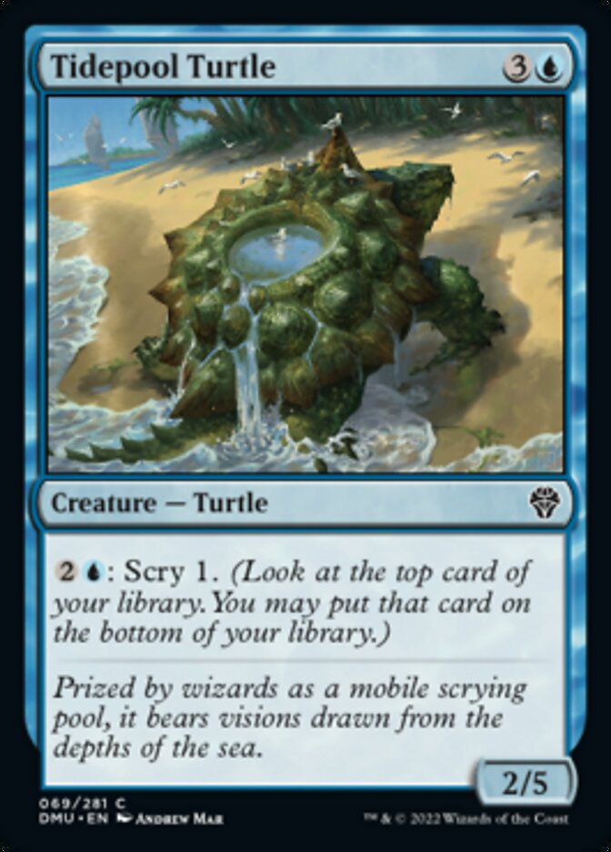 Tidepool Turtle [Dominaria United] | PLUS EV GAMES 