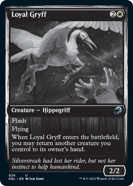 Loyal Gryff [Innistrad: Double Feature] | PLUS EV GAMES 