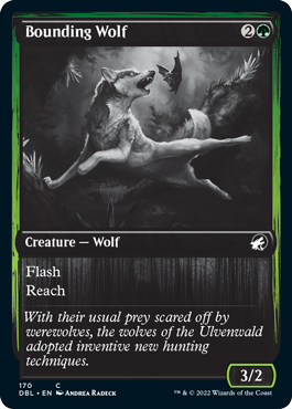 Bounding Wolf [Innistrad: Double Feature] | PLUS EV GAMES 