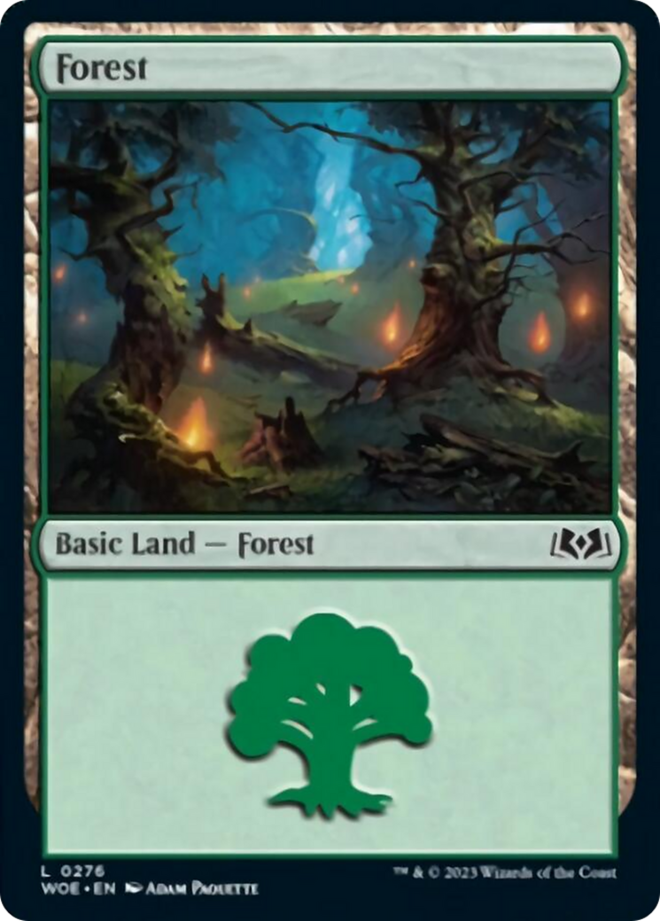 Forest (0276) [Wilds of Eldraine] | PLUS EV GAMES 