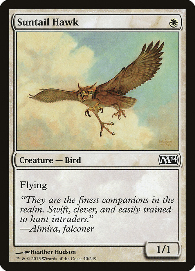 Suntail Hawk [Magic 2014] | PLUS EV GAMES 