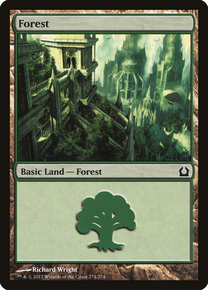 Forest (274) [Return to Ravnica] | PLUS EV GAMES 