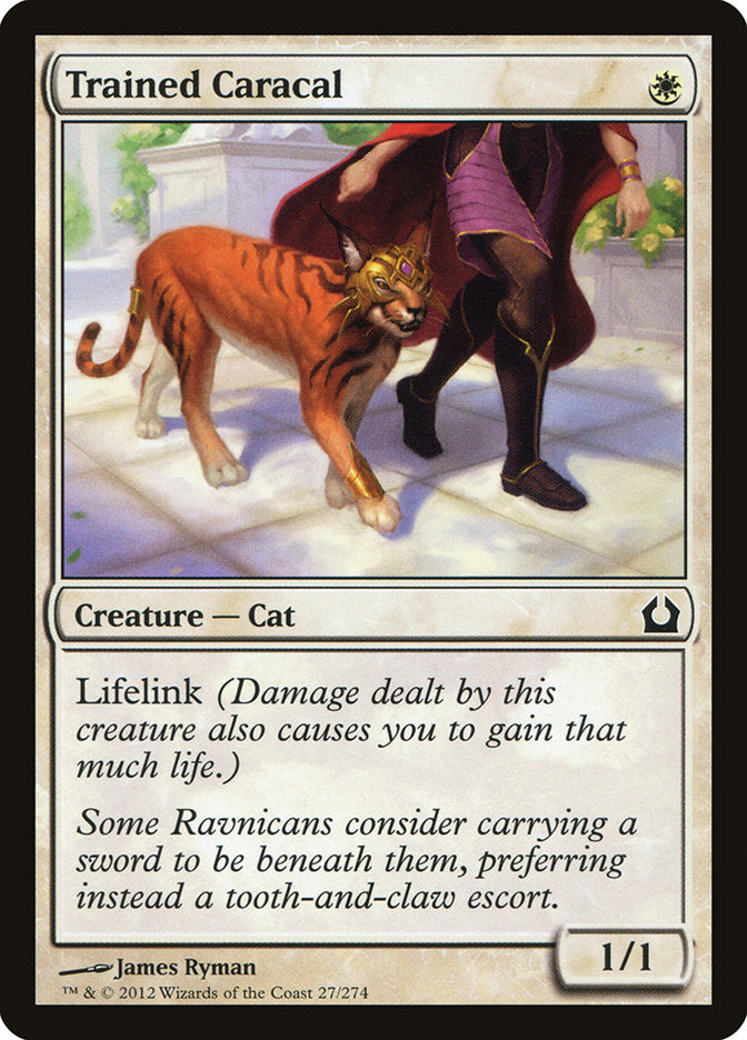 Trained Caracal [Return to Ravnica] | PLUS EV GAMES 