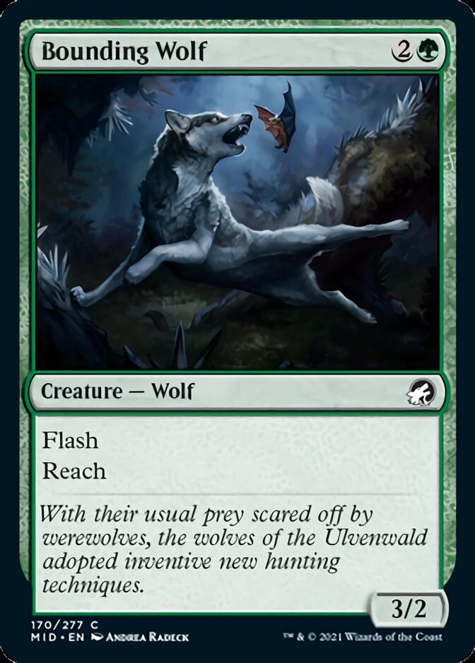 Bounding Wolf [Innistrad: Midnight Hunt] | PLUS EV GAMES 