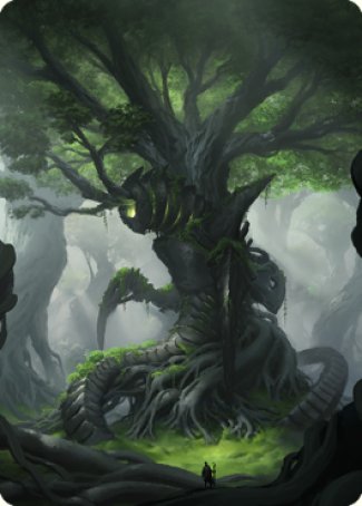 Forest Art Card [The Brothers' War Art Series] | PLUS EV GAMES 