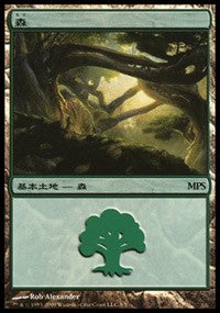 Forest - Zendikar Cycle [Magic Premiere Shop] | PLUS EV GAMES 