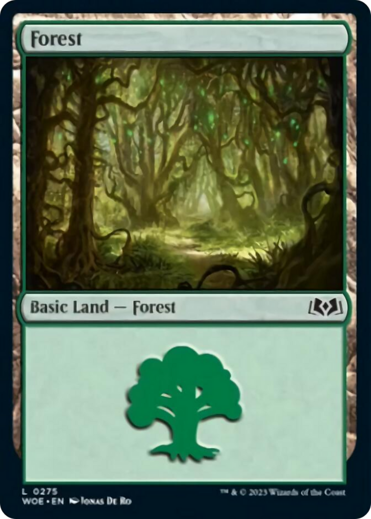 Forest (0275) [Wilds of Eldraine] | PLUS EV GAMES 