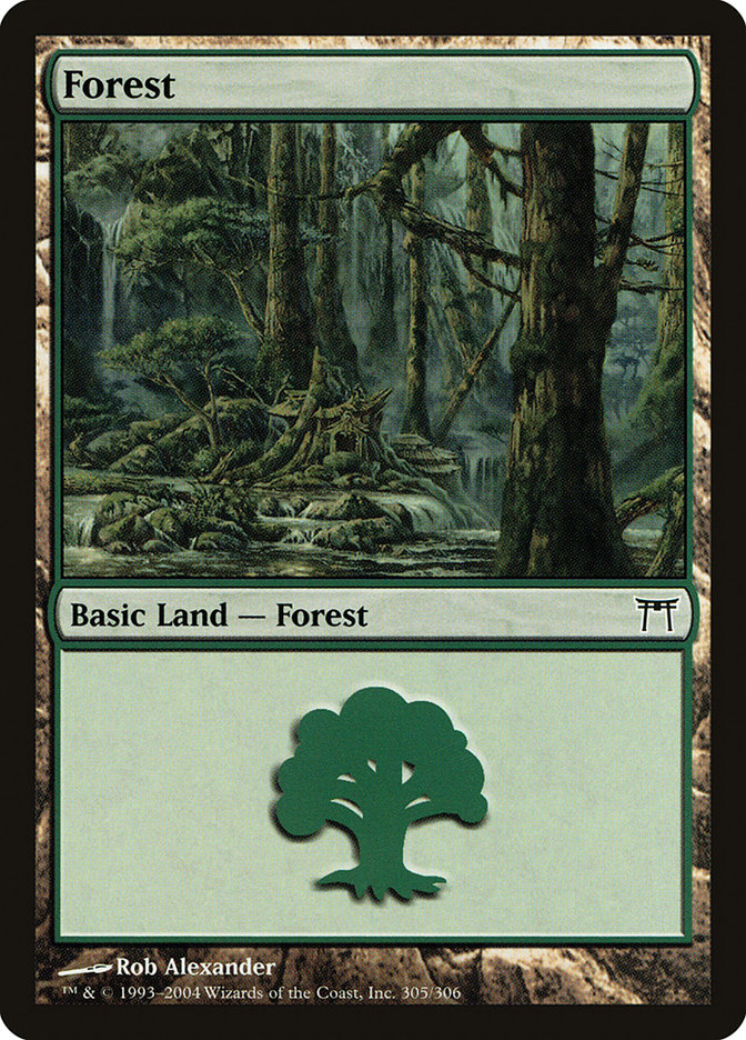 Forest (305) [Champions of Kamigawa] | PLUS EV GAMES 