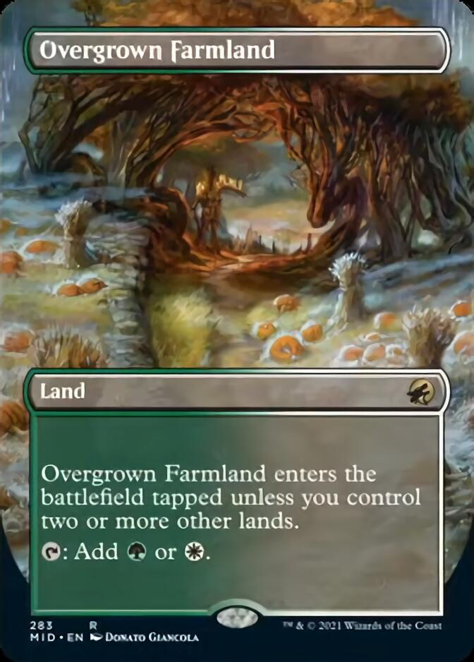 Overgrown Farmland (Borderless) [Innistrad: Midnight Hunt] | PLUS EV GAMES 