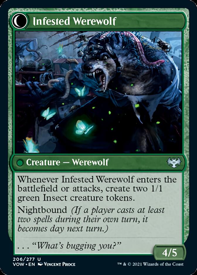 Infestation Expert // Infested Werewolf [Innistrad: Crimson Vow] | PLUS EV GAMES 