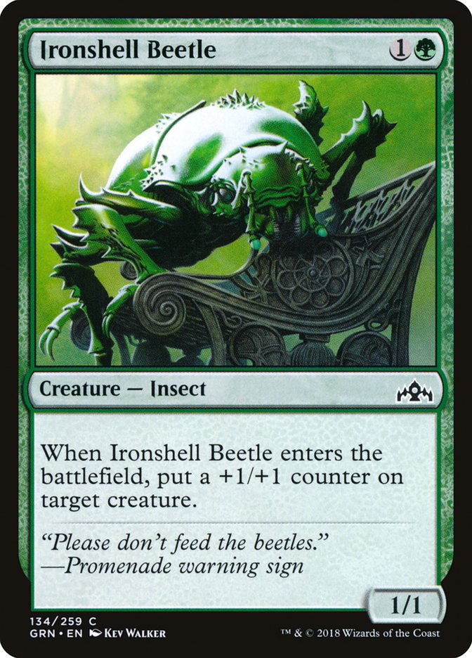 Ironshell Beetle [Guilds of Ravnica] | PLUS EV GAMES 