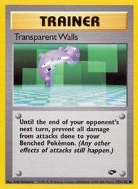 Transparent Walls (125) [Gym Challenge]