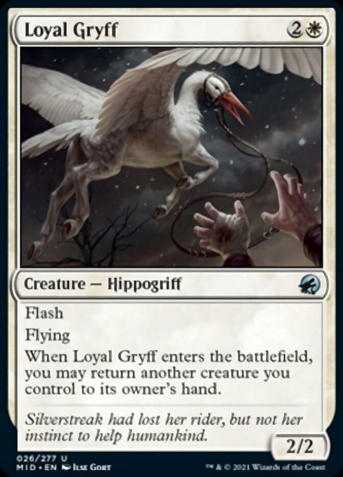 Loyal Gryff [Innistrad: Midnight Hunt] | PLUS EV GAMES 