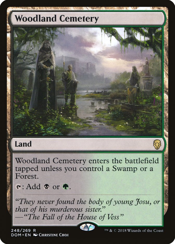 Woodland Cemetery [Dominaria] | PLUS EV GAMES 