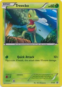 Treecko - XY36 (XY36) [XY Promos]
