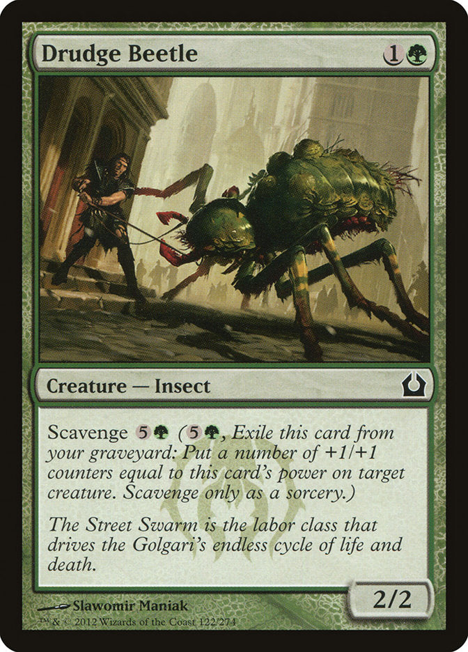 Drudge Beetle [Return to Ravnica] | PLUS EV GAMES 