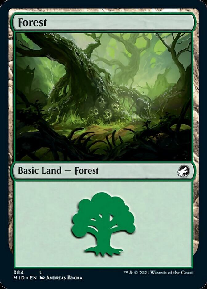 Forest (384) [Innistrad: Midnight Hunt] | PLUS EV GAMES 