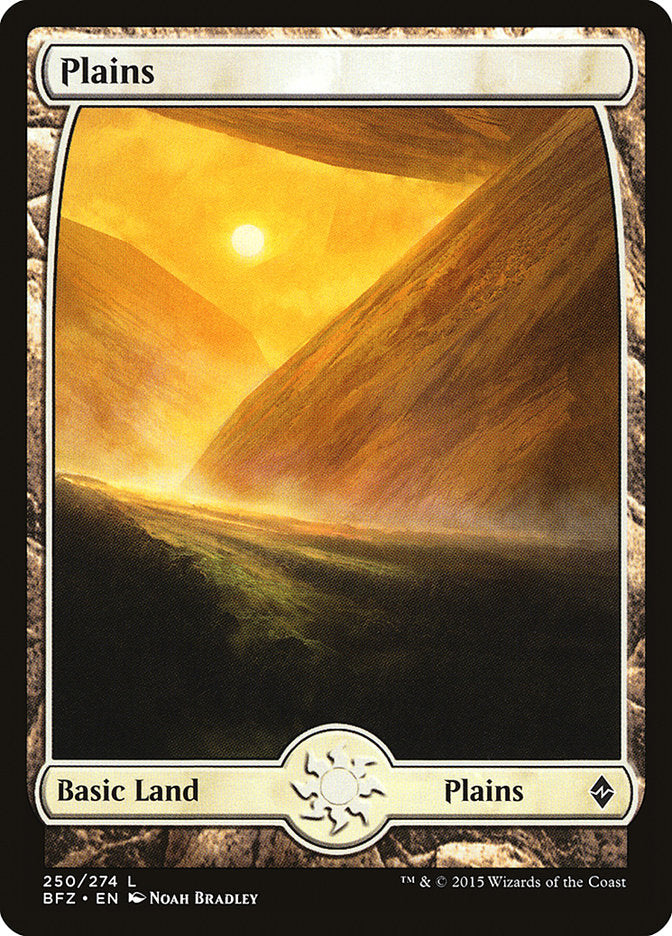 Plains (250) [Battle for Zendikar] | PLUS EV GAMES 