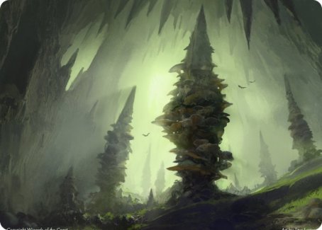 Forest (280) Art Card [Dungeons & Dragons: Adventures in the Forgotten Realms Art Series] | PLUS EV GAMES 