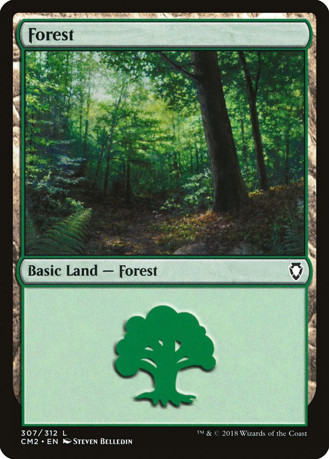 Forest (307) [Commander Anthology Volume II] | PLUS EV GAMES 