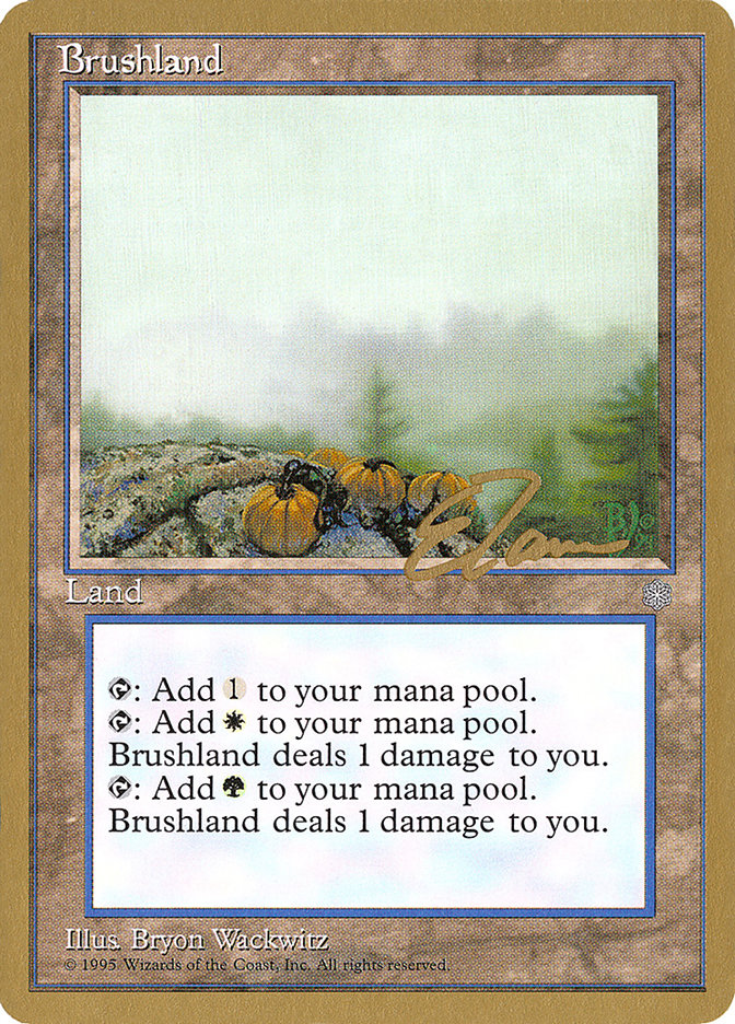 Brushland (Eric Tam) [Pro Tour Collector Set] | PLUS EV GAMES 