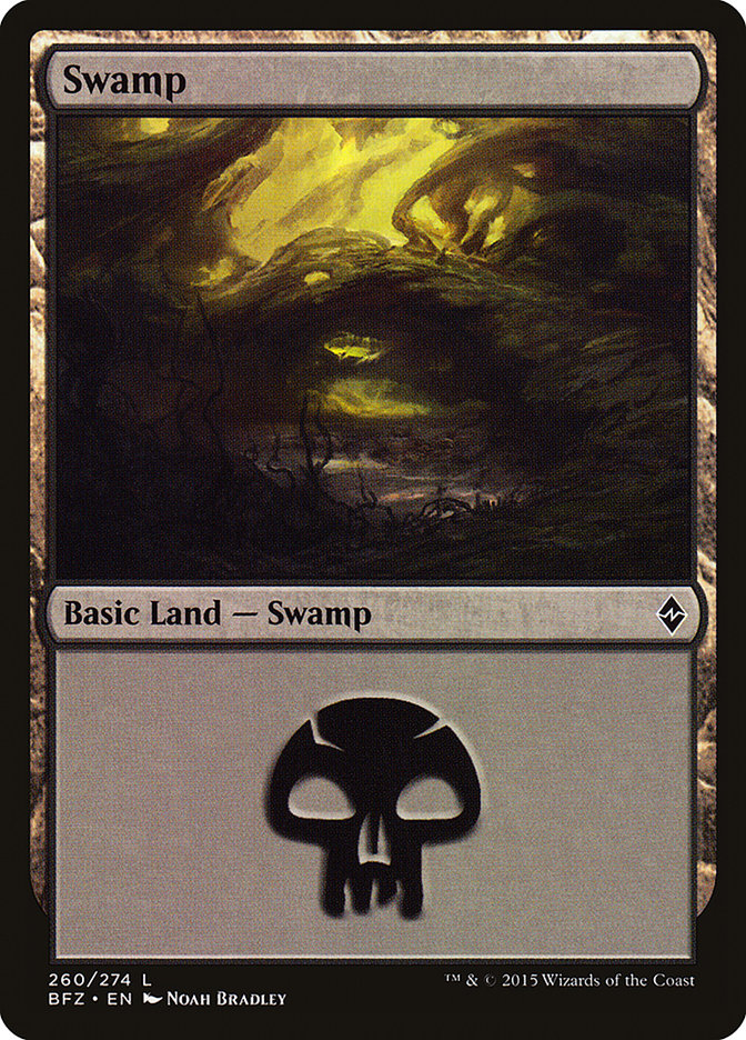 Swamp (260a) [Battle for Zendikar] | PLUS EV GAMES 