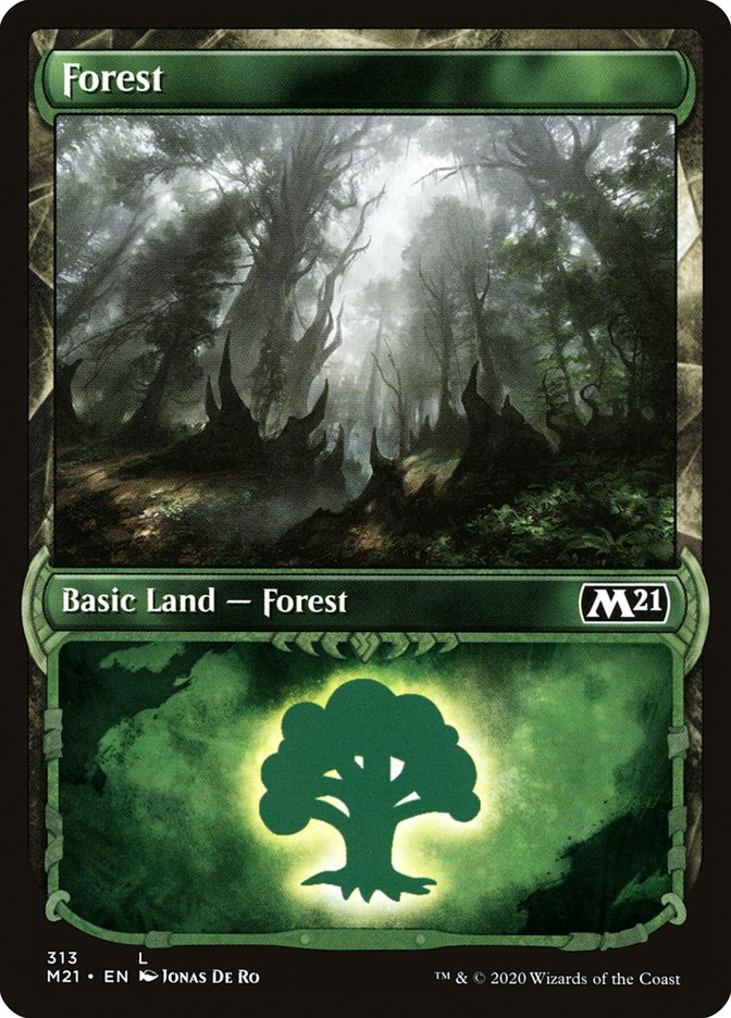 Forest (313) (Showcase) [Core Set 2021] | PLUS EV GAMES 