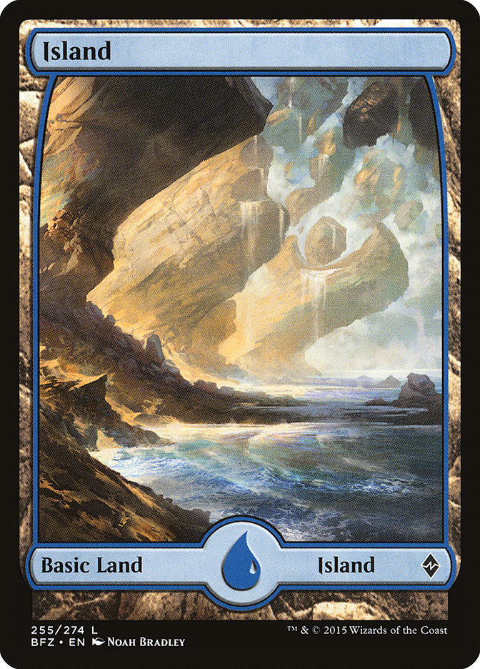 Island (255) [Battle for Zendikar] | PLUS EV GAMES 