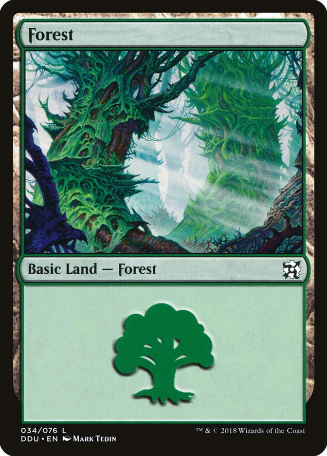 Forest (34) [Duel Decks: Elves vs. Inventors] | PLUS EV GAMES 